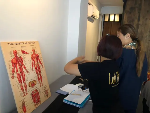 Posture anatomy explanation