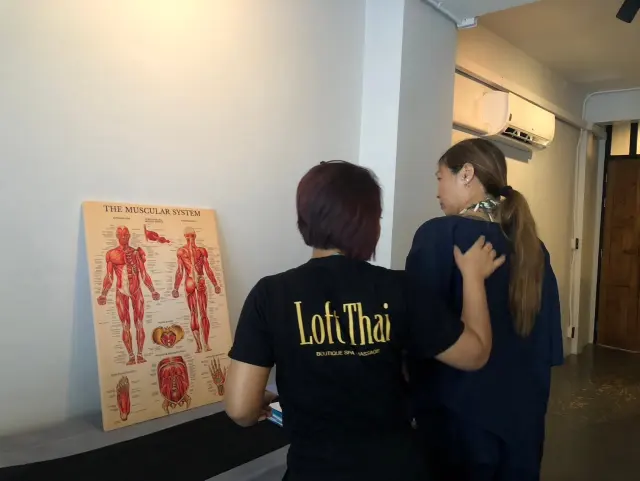 Shoulder anatomy review