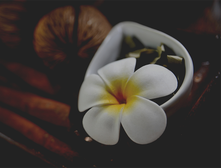 Thai-Massage VS. Thai-Yoga-Massage