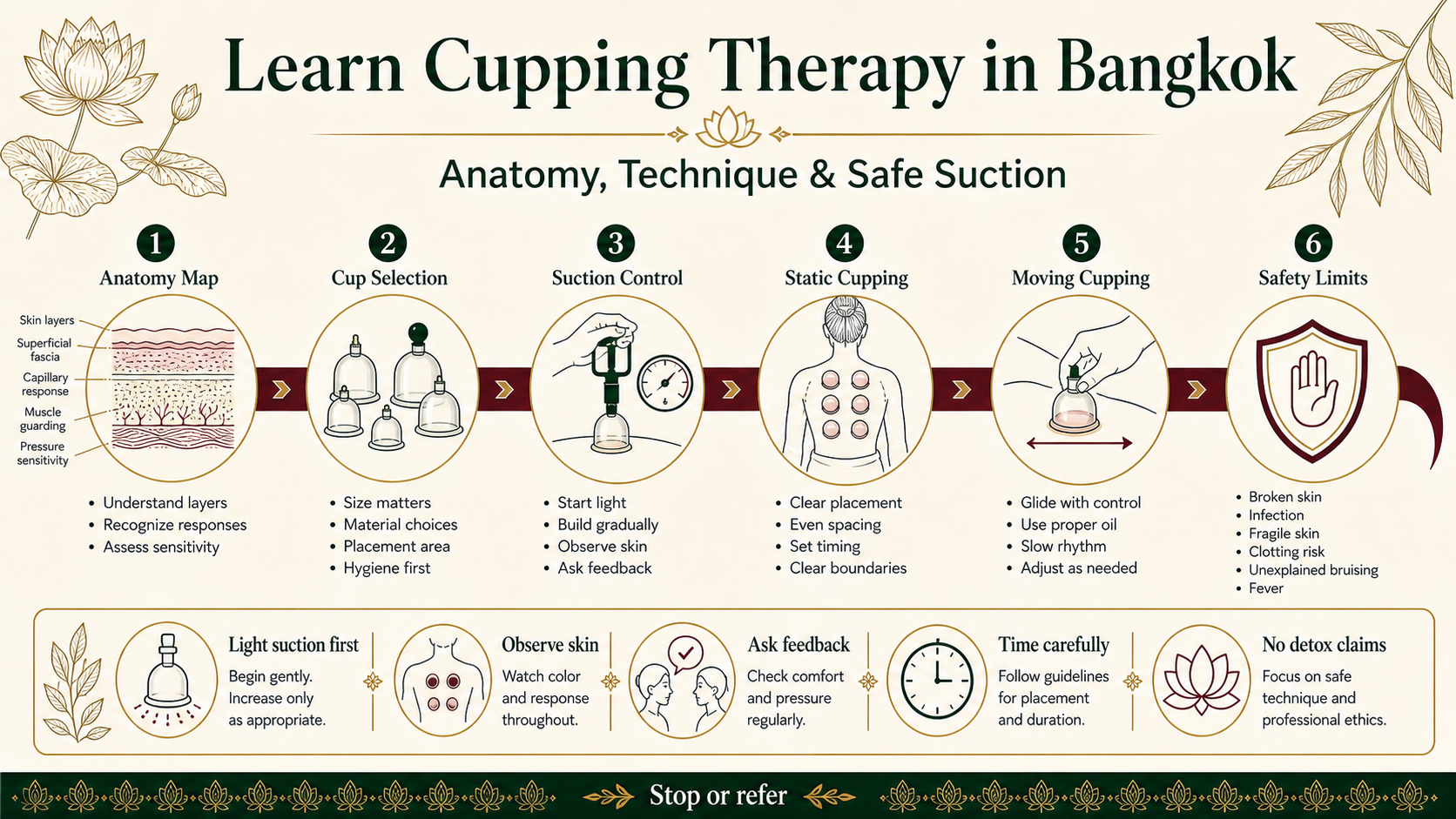 Infographic explaining cupping therapy training in Bangkok including anatomy, cup selection, suction control, static cupping, moving cupping and safety limits
