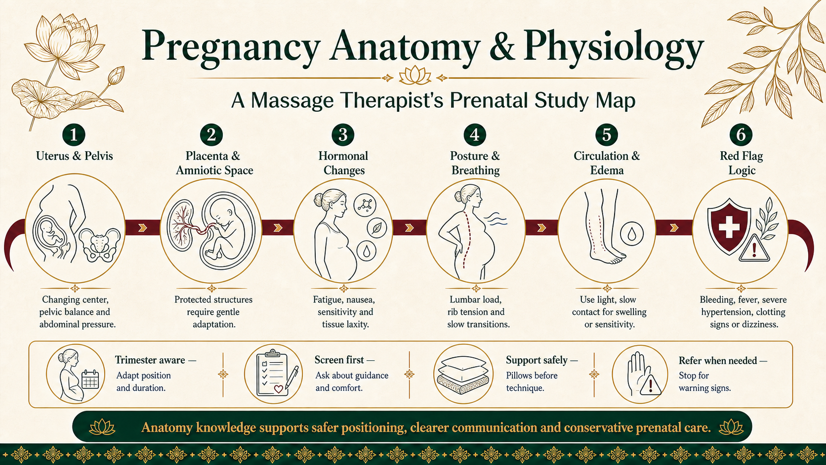 Infographic explaining pregnancy anatomy and physiology for prenatal massage therapists, including uterus and pelvis, placenta, hormonal change, posture, circulation and referral warning signs