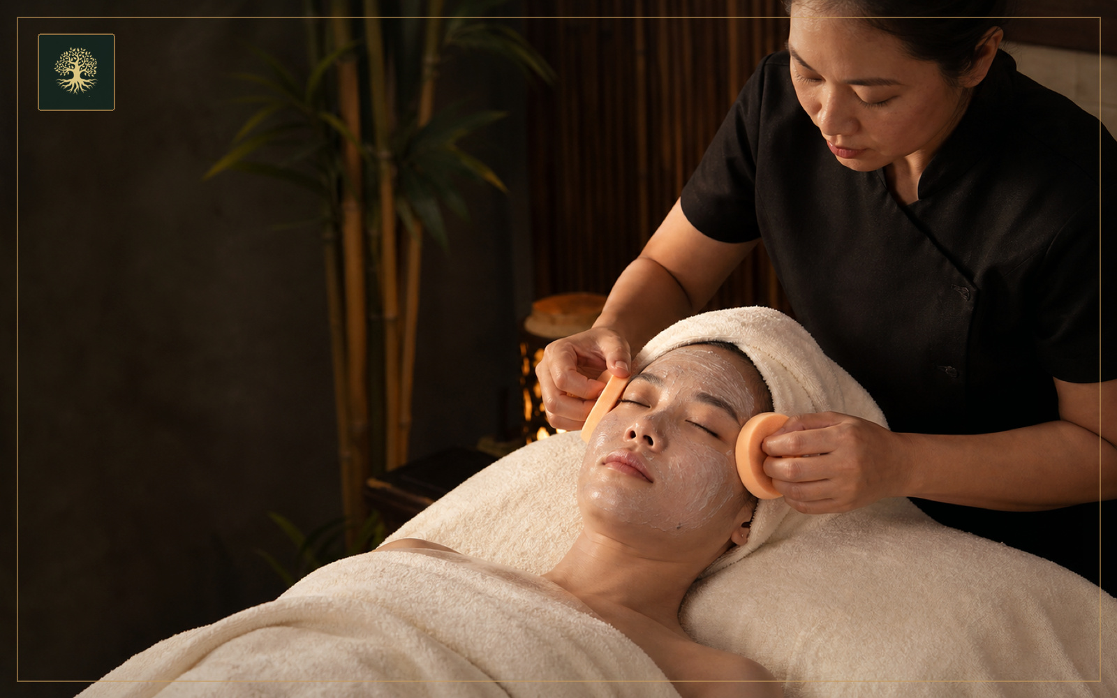 Detox Facial Course video course