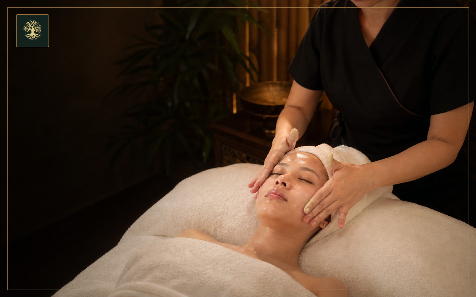 Facial Treatment Course video course